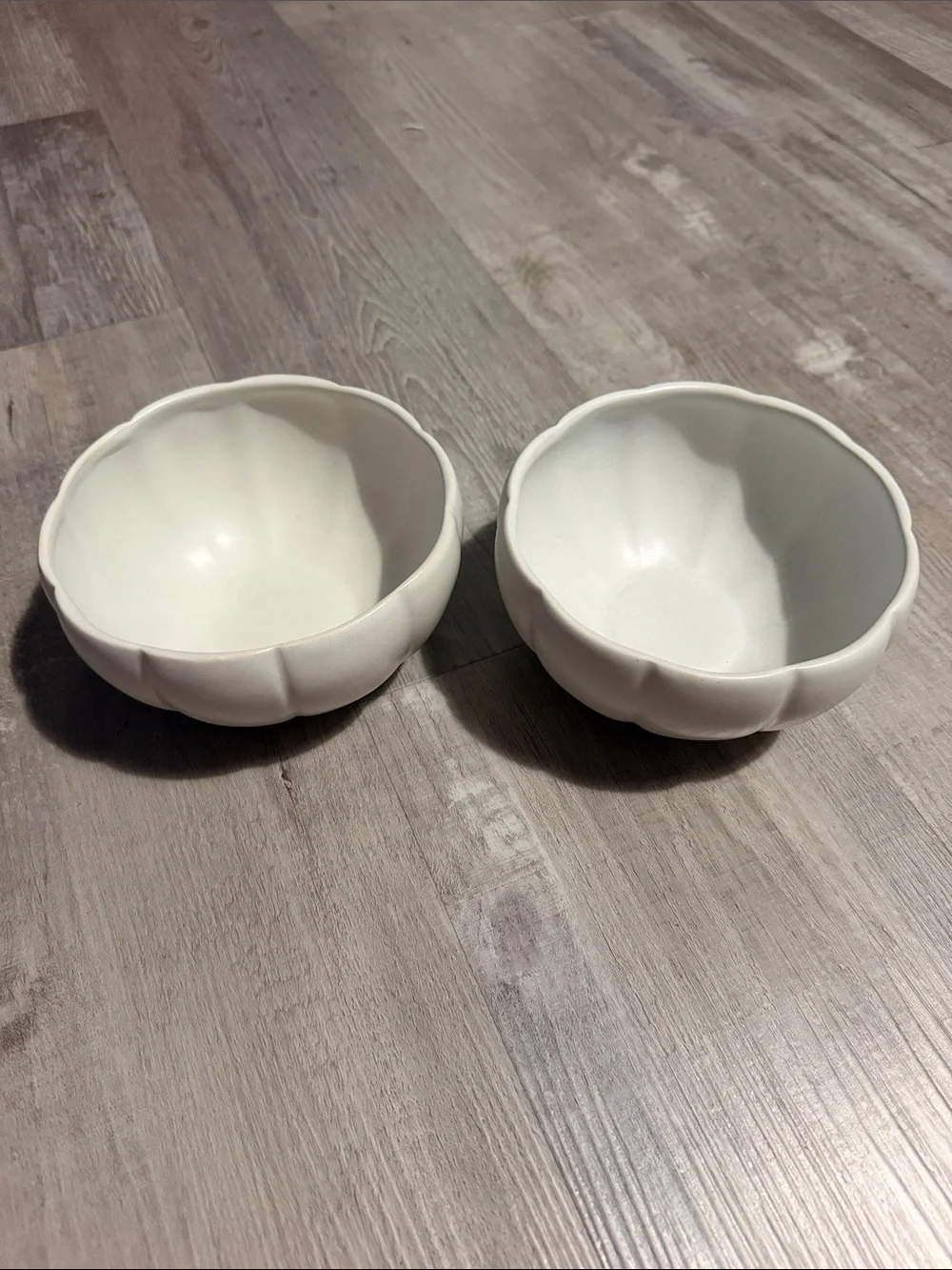 Pottery barn pumpkin bowl set of two